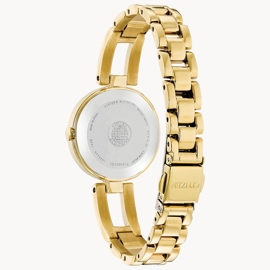 Citizen Axiom with Chapagen Dial