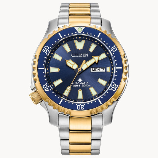 Citizen Promaster Dive Automatic Watch