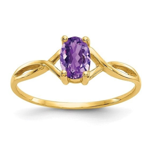 14K Yellow Gold Amethyst Birthstone Ring