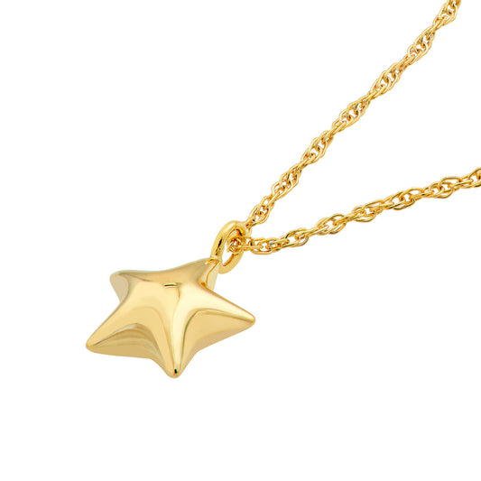14K Yellow Gold Polished Star Pendant Necklace